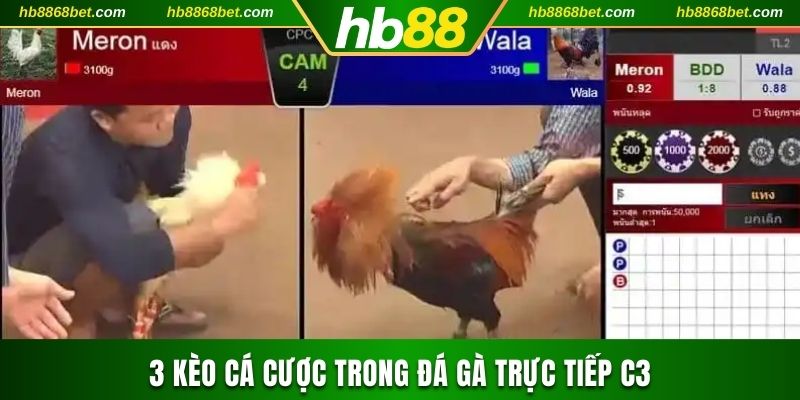 Cá Cược Đá Gà Trực Tiếp C3 Nhận Thưởng Chục Triệu Cực Dễ 3 kèo cược trong game