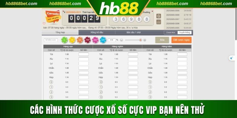 Các hình thức cược xổ số cực vip bạn nên thử