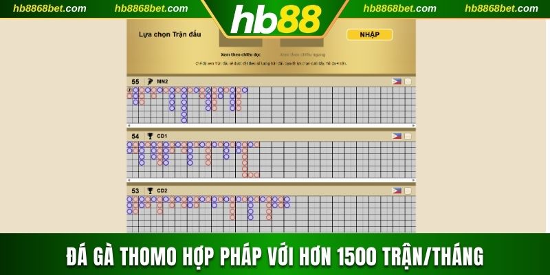 Đá Gà Thomo HB88 Với Hơn 100.000 Lượt Cược Mỗi Tháng  Đá gà Thomo hợp pháp với hơn 1500 trận/tháng