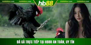 đá gà trực tiếp