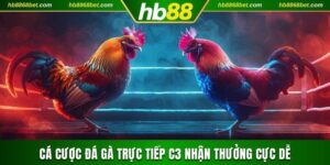 Đá gà trực tiếp C3