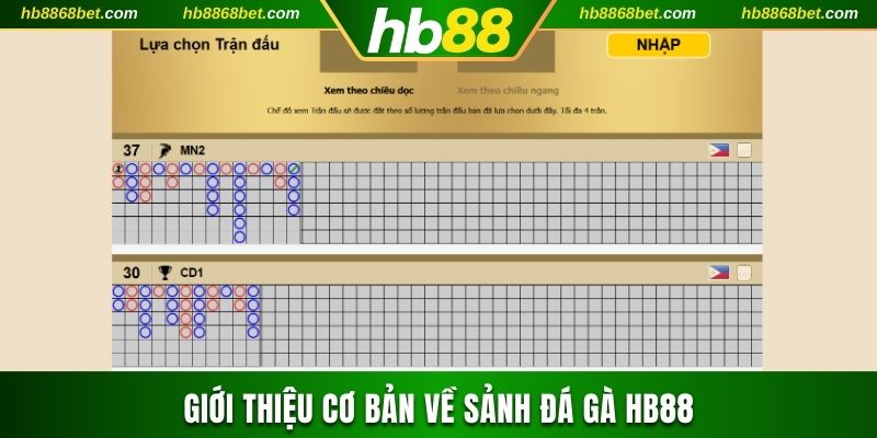 Giới thiệu cơ bản về sảnh đá gà HB88