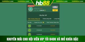 Khuyến Mãi Cho Hội Viên VIP Tới 100 Triệu Và Mở Đặc Quyền khuyến mãi cho hội viên VIP