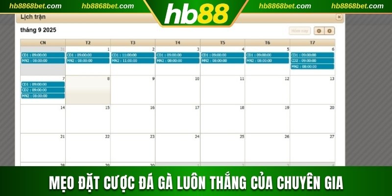 Trải Nghiệm Đá Gà Trực Tiếp Tại HB88 Uy Tín, An Toàn Mẹo cược đá gà hiệu quả