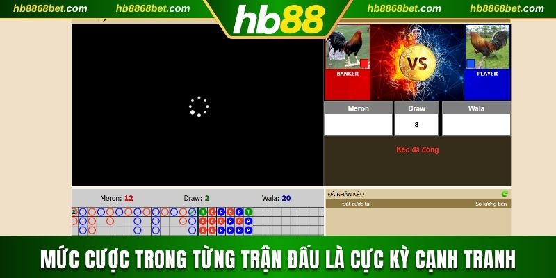 Mức cược trong từng trận đấu là cực kỳ cạnh tranh